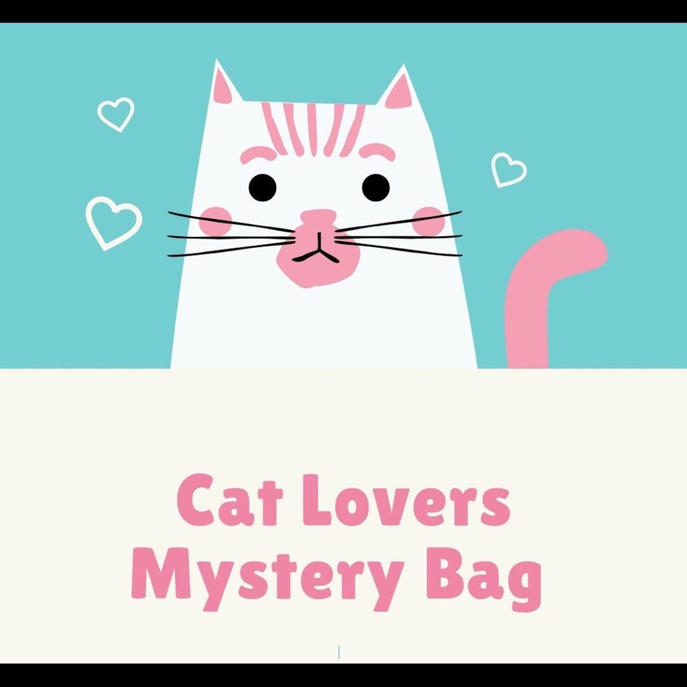 Cat lovers mystery box - kitty lover surprise bag - cat jewelry - animal lovers